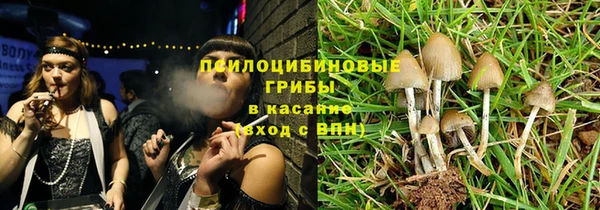прущие грибы Липки