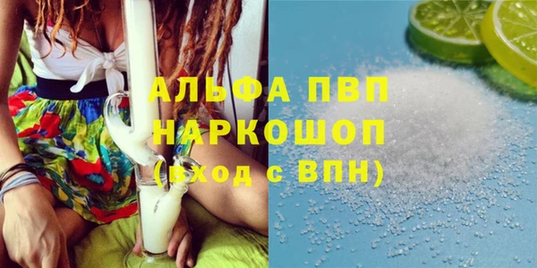 СК Куйбышев