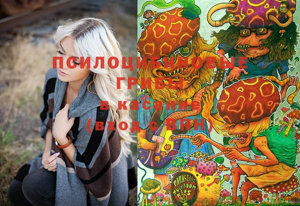 прущие грибы Липки