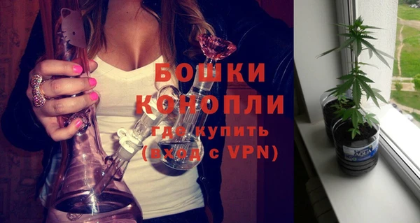 эйфоретик Ладушкин